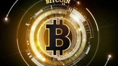Rollercoaster Kripto: Bitcoin Justru Bangkit di tempat area Tengah Bayang-Bayang Kebijakan Trump