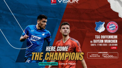 TSG Hoffenheim vs FC Bayern Muenchen pada pada Pekan Terakhir Bundesliga 2024/25, Link Nonton di VISION+