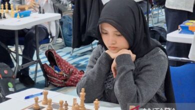 Perbedaan strategi lalu taktik catur juga contoh penerapannya