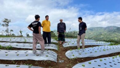 Terapkan Teknologi Smart Farming kemudian Jaringan Dunia Maya of Things (IoT) untuk Dongkrak Produktivitas Petani