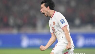 Thom Haye ke Persib Bandung, apa kata Erick Thohir?