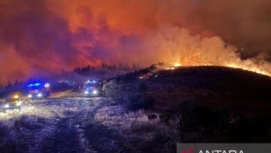 Spanyol-Portugal dilanda amukan api, 82 ribu hektare hutan ludes