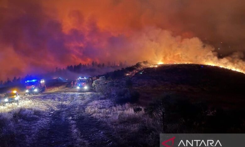 Spanyol-Portugal dilanda amukan api, 82 ribu hektare hutan ludes