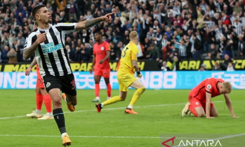 Newcastle kembali ke jalur kemenangan usai taklukkan Burnley 3-1